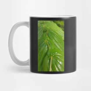 Leaf zig zag Mug